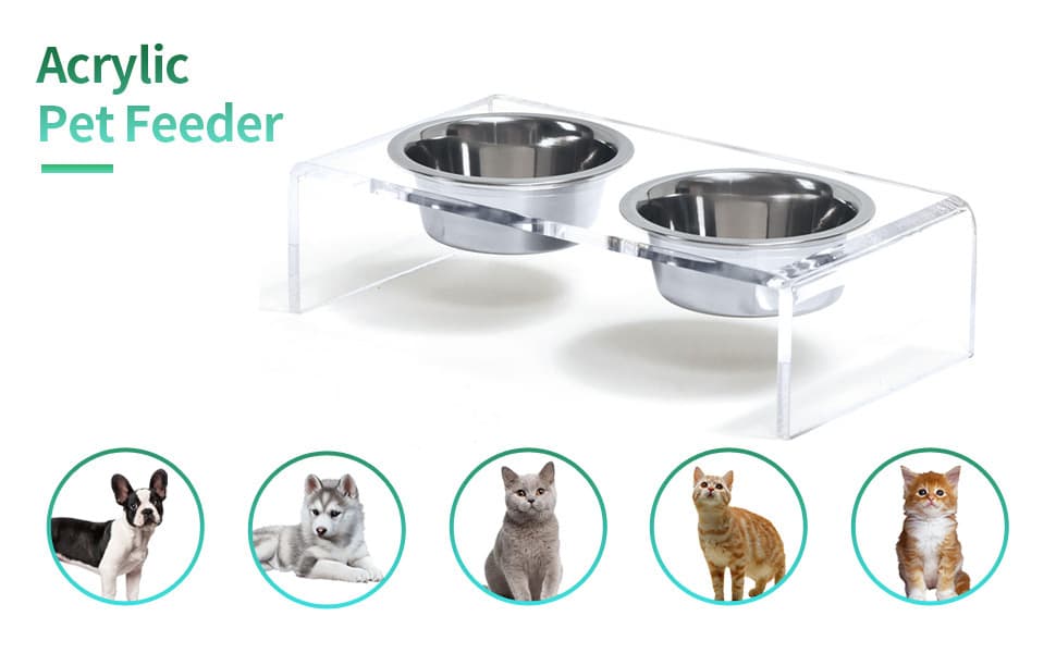 Acrylic Dogs And Cats Pet Feeder Small Cat Dog Feeding Rack 10